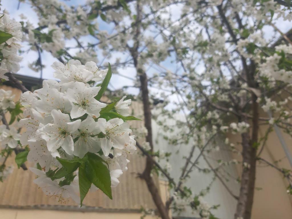 City Hostel دوشانبي المظهر الخارجي الصورة